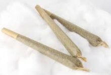 Pre Rolled Joints & fertig gedrehte Joints – warum immer mehr Konsumenten auf Komfort setzen