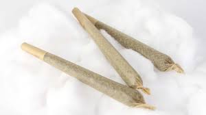 Pre Rolled Joints & fertig gedrehte Joints – warum immer mehr Konsumenten auf Komfort setzen